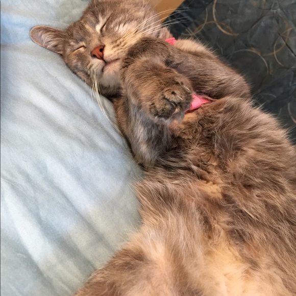 Meet your Posher, Randi - Picture 4 of 5